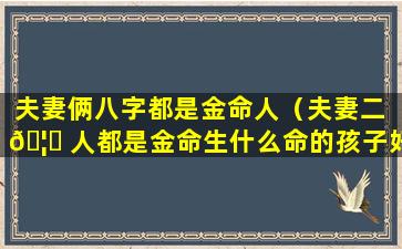 夫妻俩八字都是金命人（夫妻二 🦋 人都是金命生什么命的孩子好）